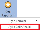 OzelRaporEklemeMenu.jpg