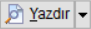 YazdirKayitButon_Master.PNG