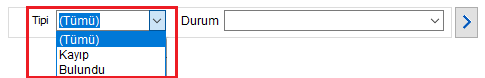 25 oda kayipbulundu Filtre Tipi.PNG