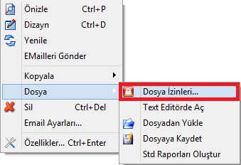 RaporDuzenleyicisiDosyaIzin.JPG