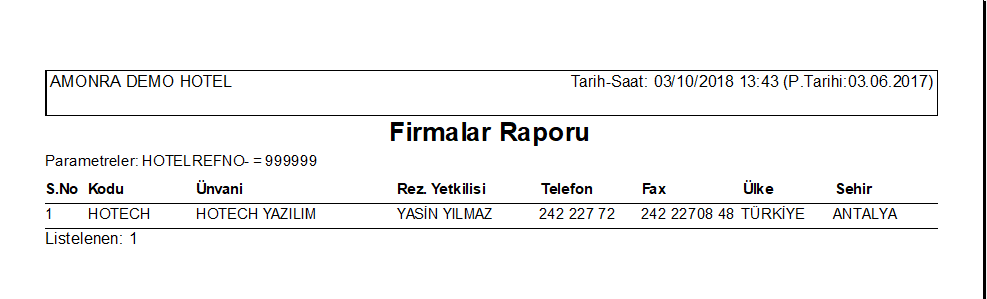Firmalar_Raporu_Rapor