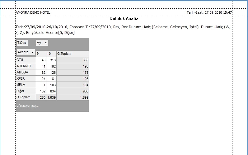 00_AnalizOnizleme_Onizlemealani