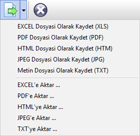 00_Genel_Standart.Rapor.Onizleme.Ekrani_Dosya.Aktar