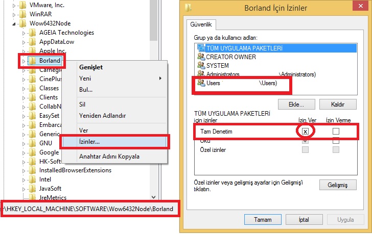 Borland_regedit_ayari.jpg