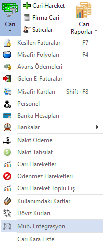 Cari Muhasebe entegrasyon.PNG