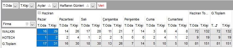 Analiz_TarihAraligi.PNG