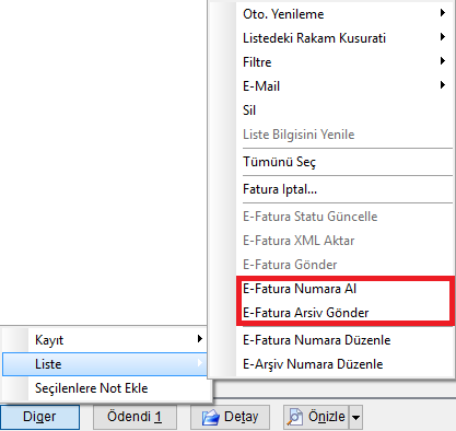 EfaturaNumaraAl.png