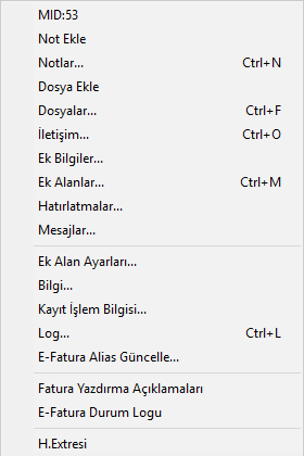 FaturaKayitDigerMenu.PNG