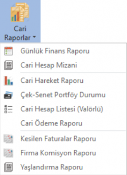 CariRaporlar.PNG