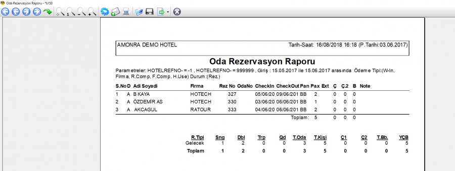 00 genel standart rapor onizleme ekrani.PNG