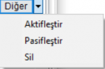 RezervasyonKisiDigerButon.PNG
