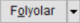 FolyolarButon.PNG