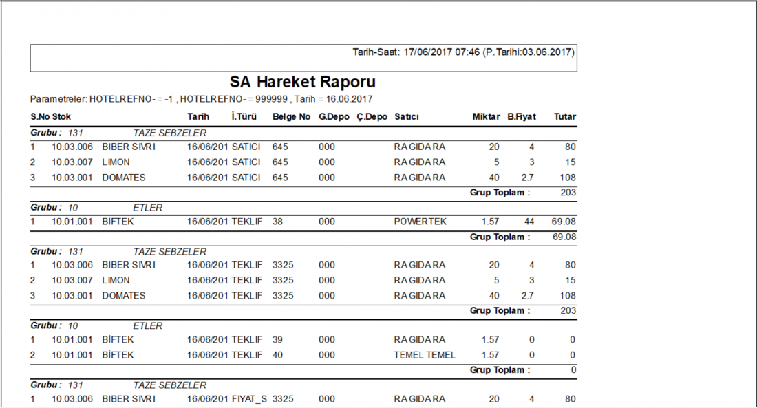SA_Raporlari_SA_Hareket_Raporu_Rapor.PNG