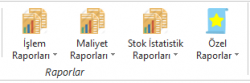 StokIslemRaporlari.PNG